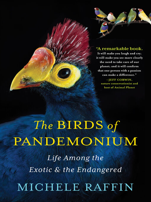 Title details for The Birds of Pandemonium by Michele Raffin - Wait list